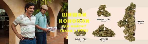 прущие грибы Алзамай
