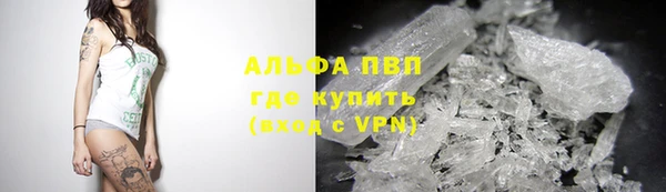 прущие грибы Алзамай