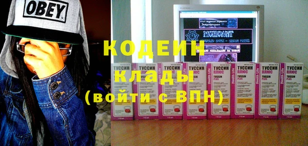 прущие грибы Алзамай