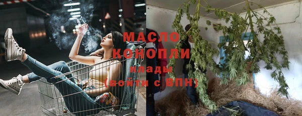 прущие грибы Алзамай