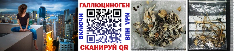 Псилоцибиновые грибы прущие грибы  Пушкино 